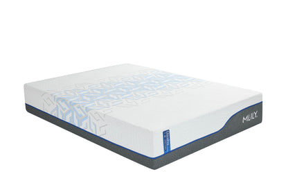 MLILY ChiroPro 1.0