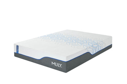 MLILY ChiroPro 3.0