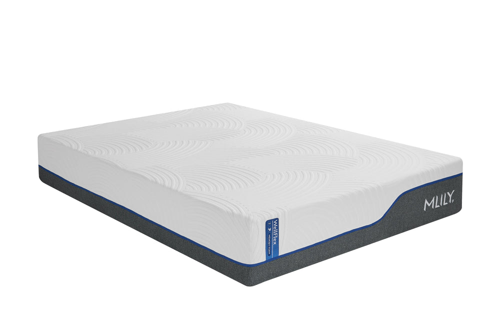 MLILY WellFlex 3.0 Plusher