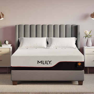 MLILY Dream