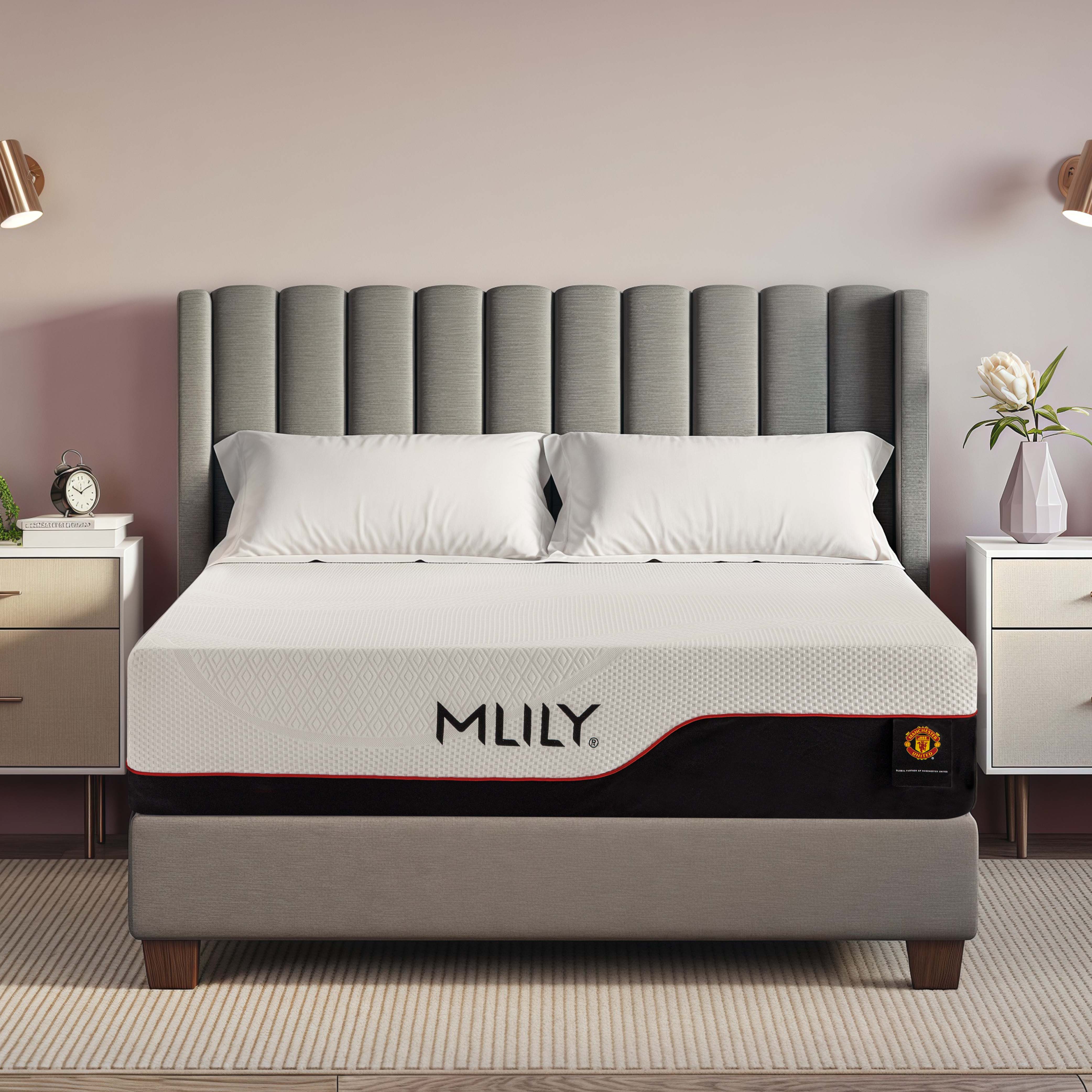 MLILY Dream