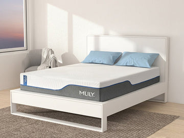 MLILY WellFlex Memory Foam Mattress