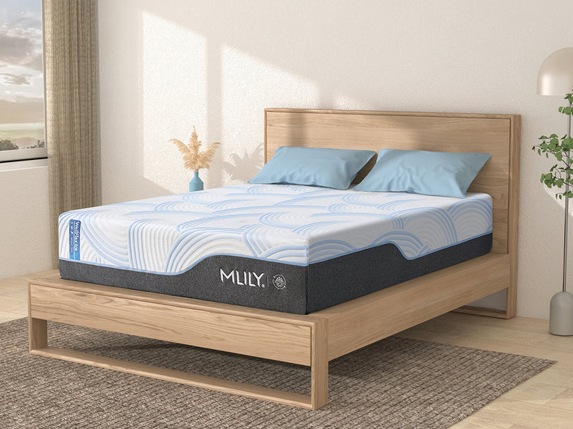 MLILY WellFlex ICE Memory Foam Mattress