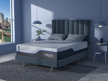 MLILY ChiroPro 1.0