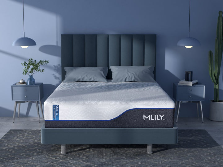 MLILY ChiroPro 1.0