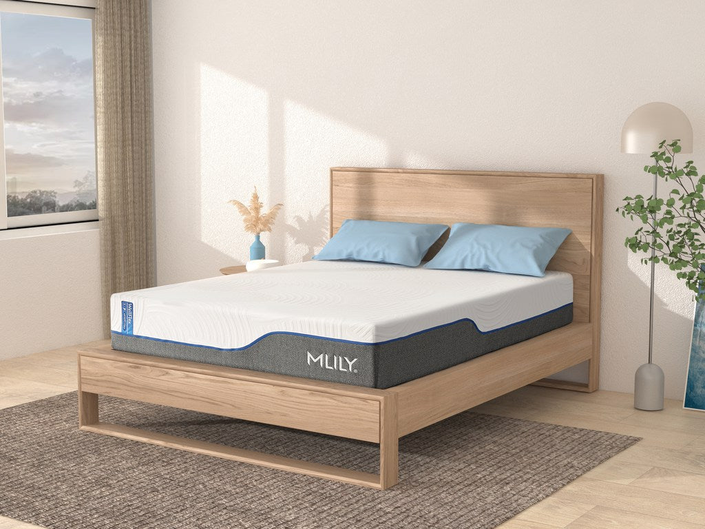 MLILY WellFlex 3.0 Plusher