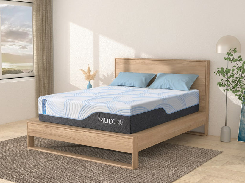 MLILY WellFlex ICE 1.0 Firmer