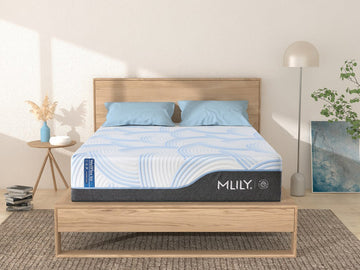 MLILY WellFlex ICE 1.0 Firmer