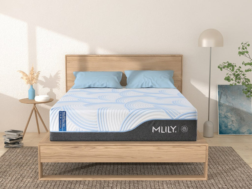 MLILY WellFlex ICE 1.0 Firmer