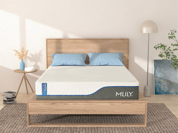 MLILY WellFlex 1.0 Firmer